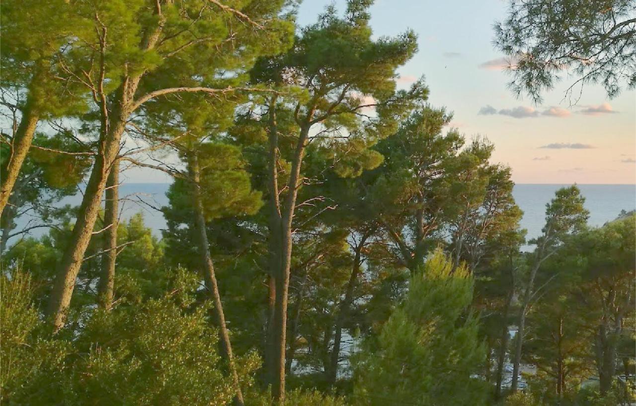 House In The Pines Villa ซูโตมอเร ภายนอก รูปภาพ